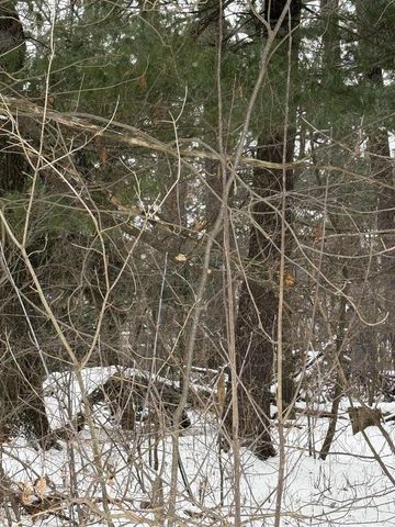 2007 BLOEDEL AVENUE, Weston, WI 54476