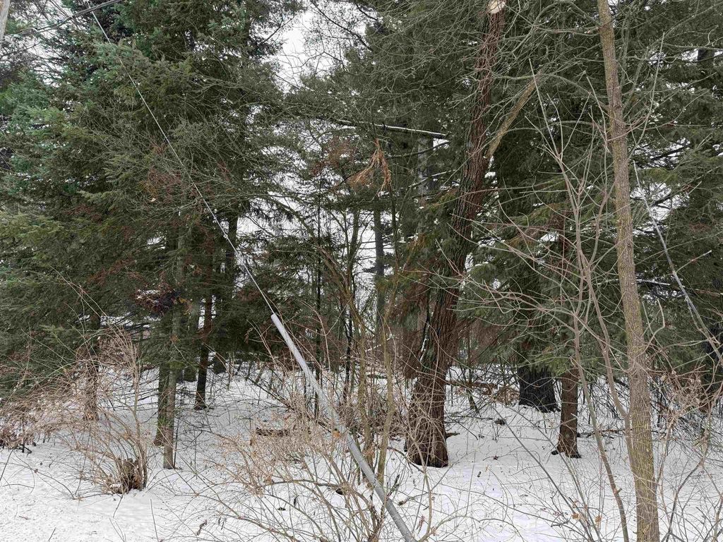 2007 BLOEDEL AVENUE, Weston, WI 54476