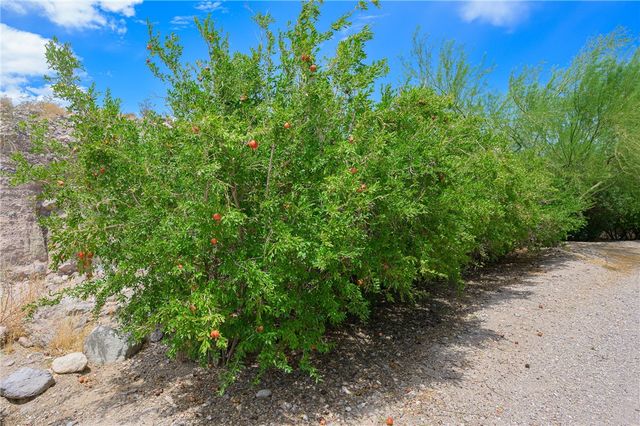 1 Silver Creek Road, Oatman, AZ 86433