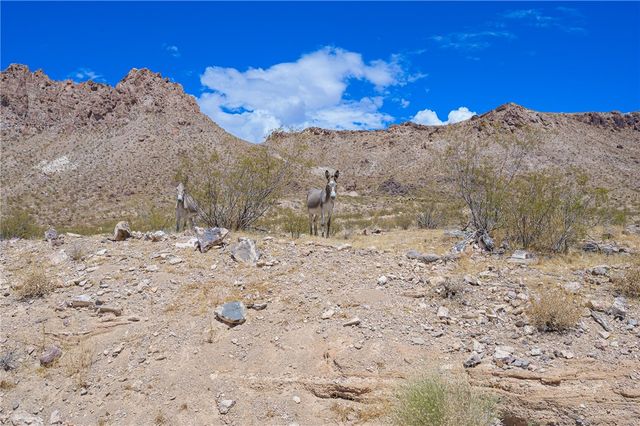 1 Silver Creek Road, Oatman, AZ 86433