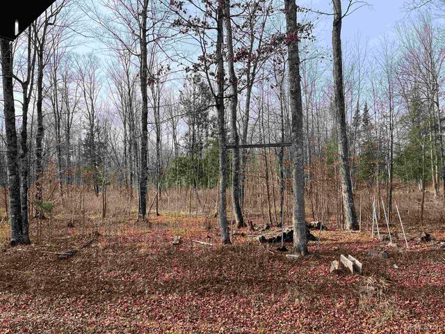 120 Acres Off County Sk Road, Cornell, MI 49818