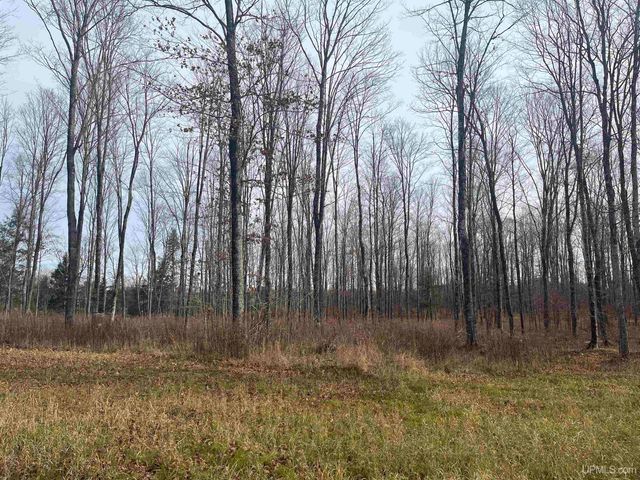 120 Acres Off County Sk Road, Cornell, MI 49818