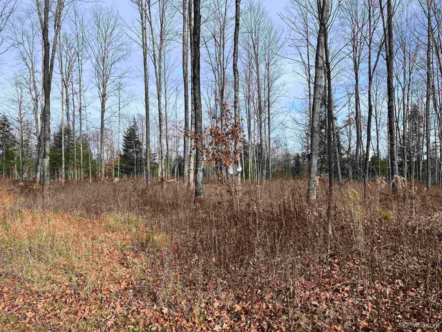 120 Acres Off County Sk Road, Cornell, MI 49818