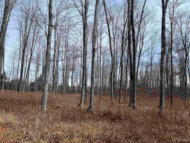 120 Acres Off County Sk Road, Cornell, MI 49818