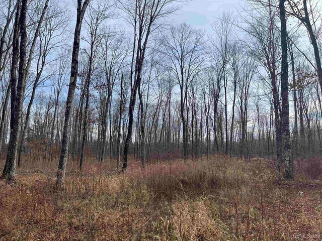 120 Acres Off County Sk Road, Cornell, MI 49818