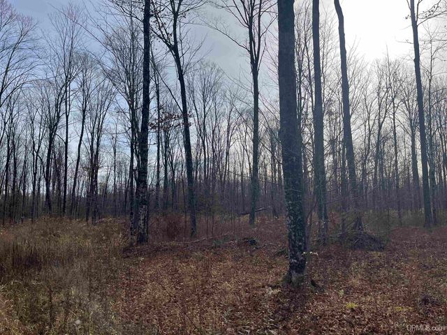 120 Acres Off County Sk Road, Cornell, MI 49818