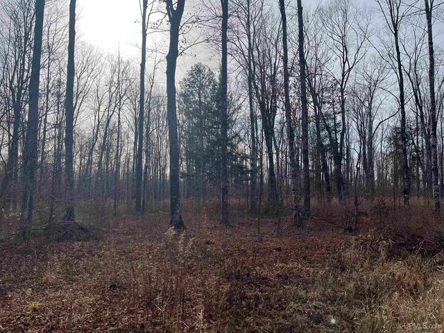 120 Acres Off County Sk Road, Cornell, MI 49818