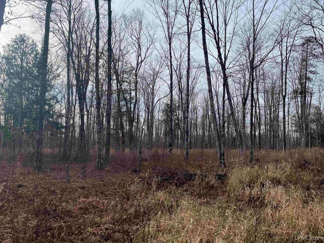 120 Acres Off County Sk Road, Cornell, MI 49818