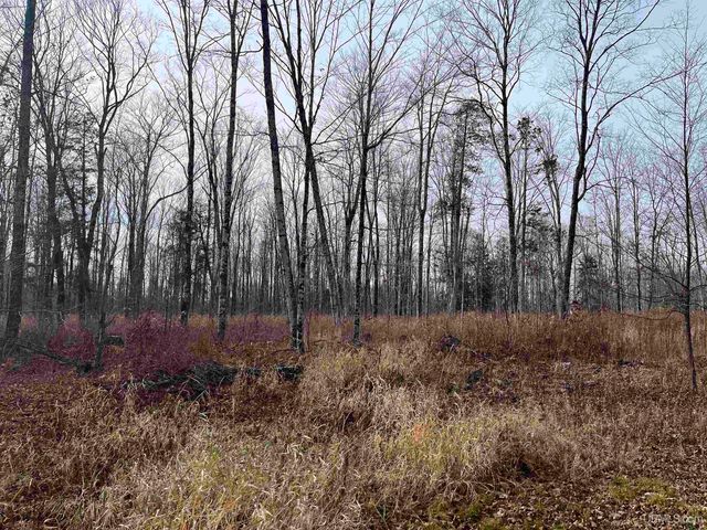 120 Acres Off County Sk Road, Cornell, MI 49818