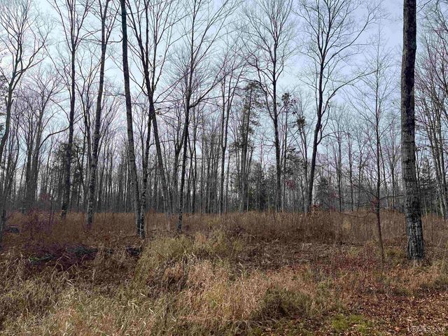 120 Acres Off County Sk Road, Cornell, MI 49818