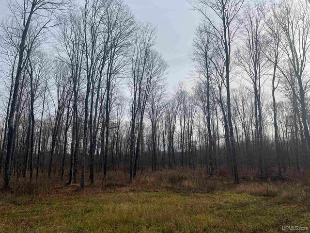 120 Acres Off County Sk Road, Cornell, MI 49818