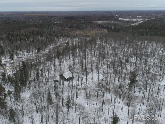 120 Acres Off County Sk Road, Cornell, MI 49818