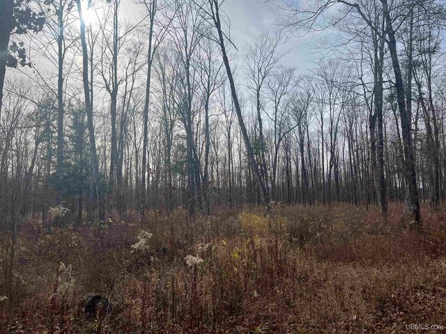 120 Acres Off County Sk Road, Cornell, MI 49818