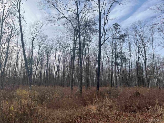 120 Acres Off County Sk Road, Cornell, MI 49818