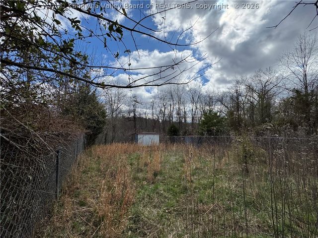 358 Cemetery Road, Red House, WV 25168