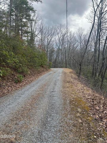 1137 Old Cartertown Road, Gatlinburg, TN 37738