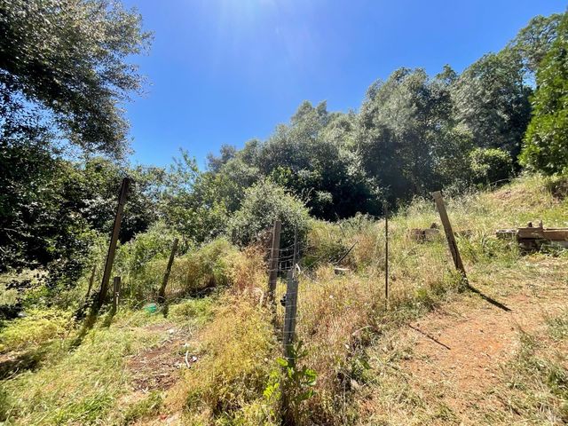 7282 Marin St, Nice, CA 95464