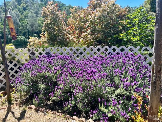 7282 Marin St, Nice, CA 95464