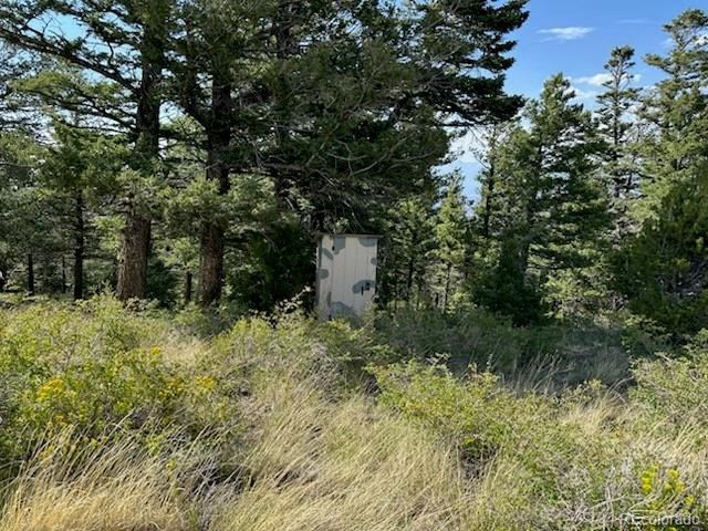 5094 Warner Road, Fort Garland, CO 81133