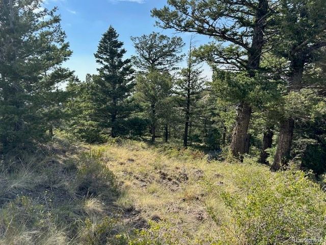 5094 Warner Road, Fort Garland, CO 81133