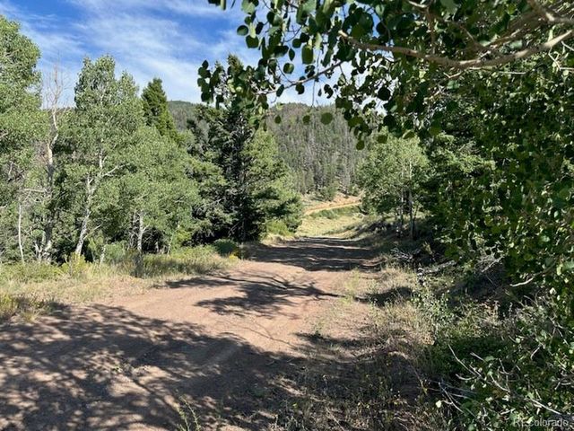 5094 Warner Road, Fort Garland, CO 81133