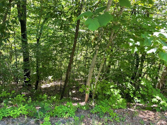 Lot 33B Grandview Drive, Hayesville, NC 28904