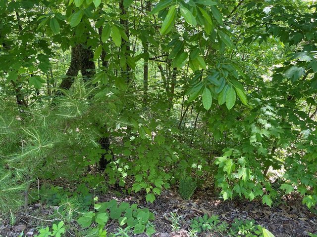 Lot 33B Grandview Drive, Hayesville, NC 28904