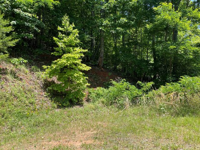 Lot 33B Grandview Drive, Hayesville, NC 28904