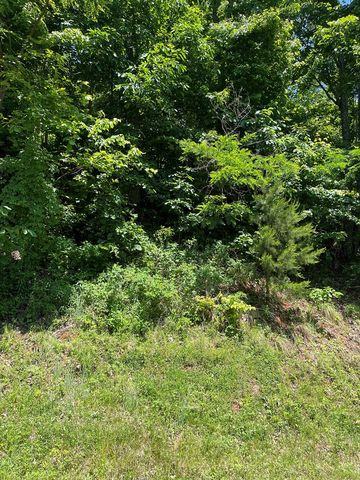 Lot 33B Grandview Drive, Hayesville, NC 28904