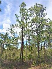 Lot 15 IXORA DRIVE, Indian Lake Estates, FL 33855