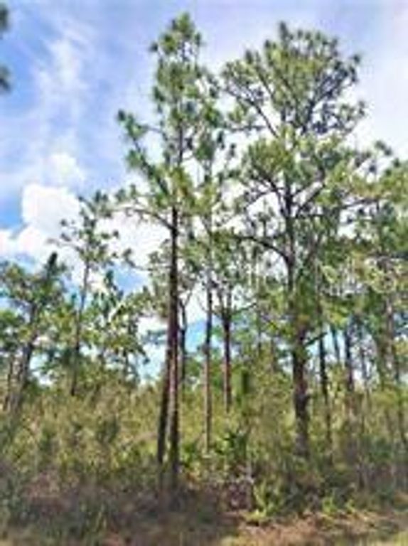 Lot 15 IXORA DRIVE, Indian Lake Estates, FL 33855