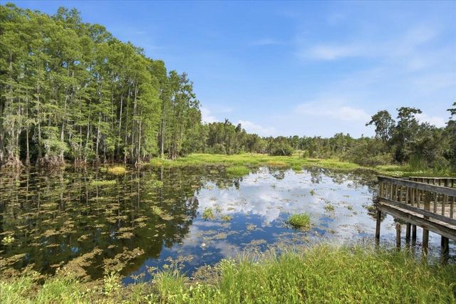 WOODS END COURT, Tampa, FL 33618