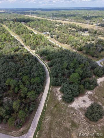 1379 W Hialeah Drive, Citrus Springs, FL 34434