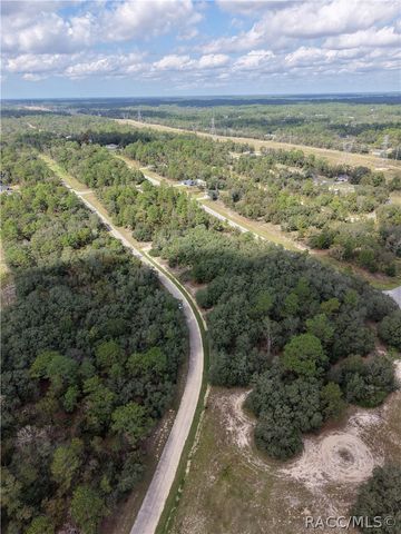 1379 W Hialeah Drive, Citrus Springs, FL 34434