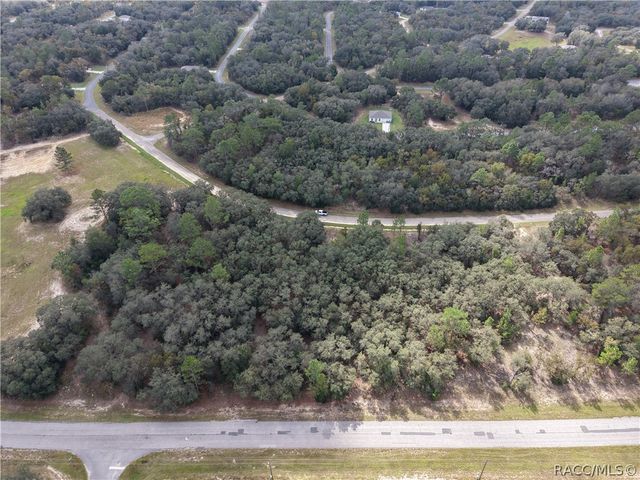 1379 W Hialeah Drive, Citrus Springs, FL 34434