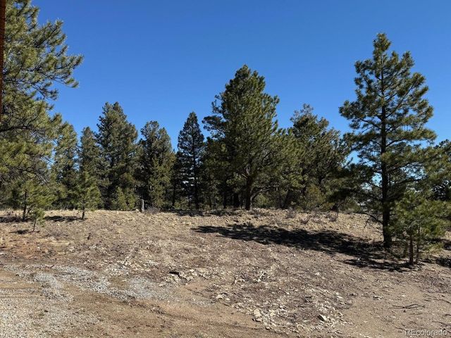 909 Pitchfork Rd, Hartsel, CO 80449