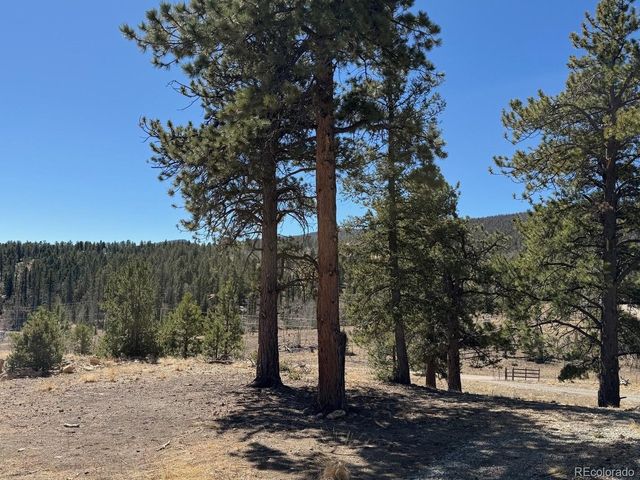 909 Pitchfork Rd, Hartsel, CO 80449