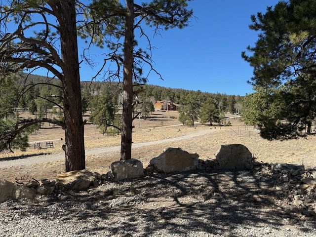 909 Pitchfork Rd, Hartsel, CO 80449