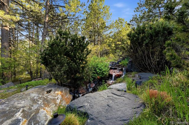 31 Albion Place, Castle Rock, CO 80108