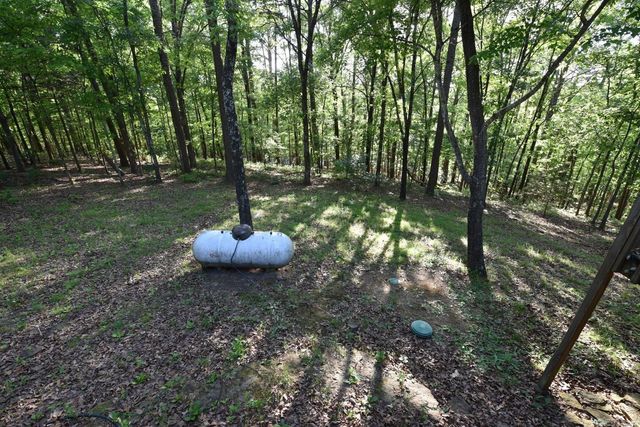 167 Overlook Drive, Fairfield Bay, AR 72088