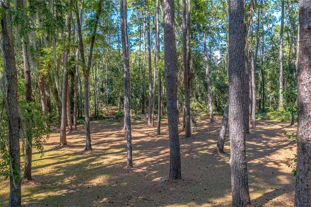1288 Old Cane Mill Drive SE, Darien, GA 31305