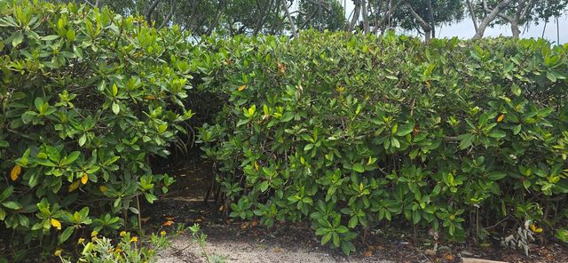 200 Waterway Road 104, Tequesta, FL 33469