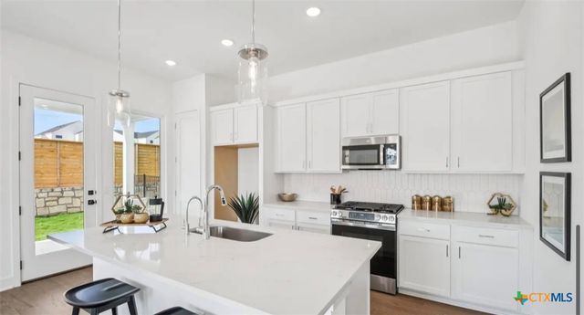 1407 Sweet Bark Street, Austin, TX 78745