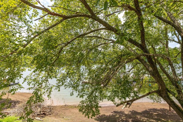 45 Lakeside Drive, Cape Fair, MO 65624