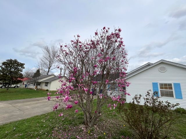 5449 Scenic Vista Drive, Somerset, KY 42501