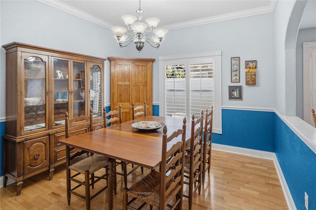 1113 S PINE LAKE DRIVE, Tampa, FL 33612