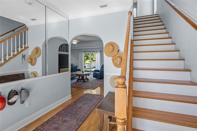 1113 S PINE LAKE DRIVE, Tampa, FL 33612