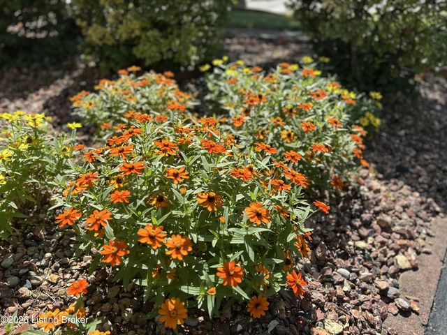 7611 Cedar Hollow Dr, Louisville, KY 40291