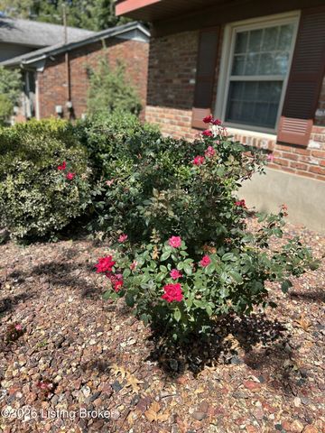 7611 Cedar Hollow Dr, Louisville, KY 40291