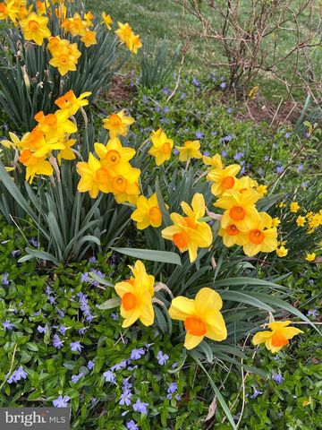 601 SIDELING CT NE, Vienna, VA 22180